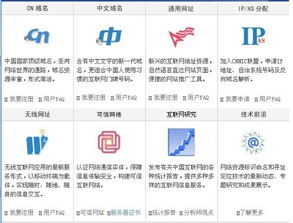 中國互聯(lián)網(wǎng)域名注冊(cè)服務(wù) 政策、發(fā)展與挑戰(zhàn)